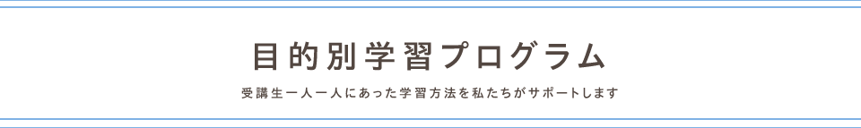 目的別学習プログラム